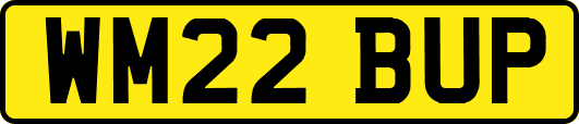 WM22BUP