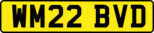 WM22BVD