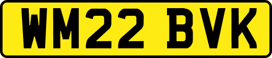 WM22BVK