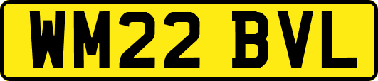 WM22BVL