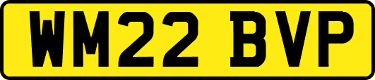 WM22BVP