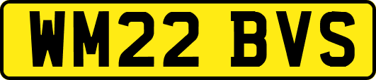 WM22BVS