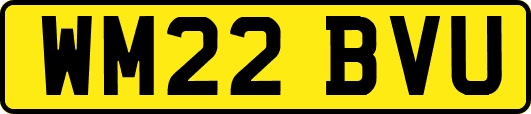 WM22BVU