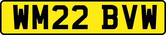 WM22BVW