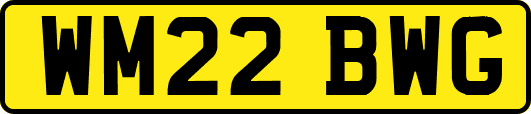 WM22BWG