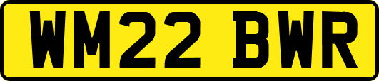 WM22BWR