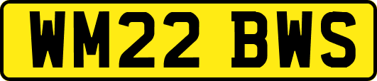 WM22BWS