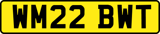 WM22BWT
