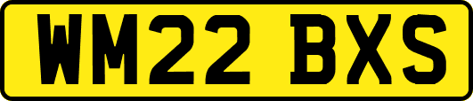 WM22BXS