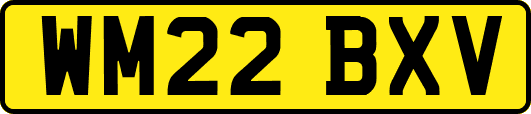 WM22BXV