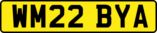 WM22BYA