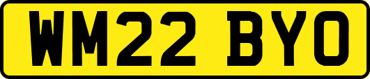 WM22BYO