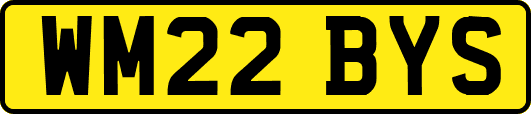 WM22BYS