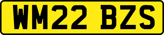 WM22BZS