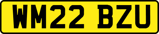 WM22BZU