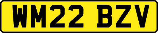 WM22BZV