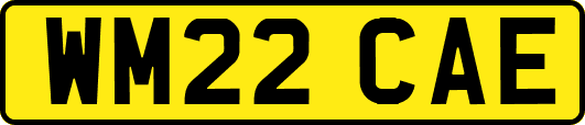 WM22CAE