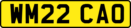 WM22CAO