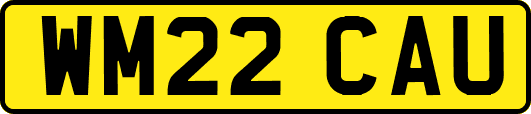 WM22CAU