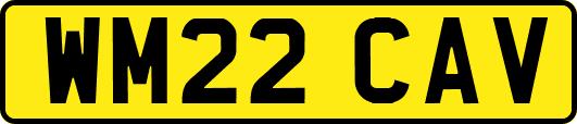 WM22CAV