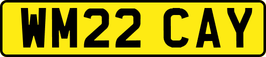 WM22CAY
