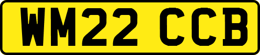 WM22CCB