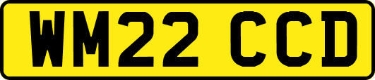 WM22CCD