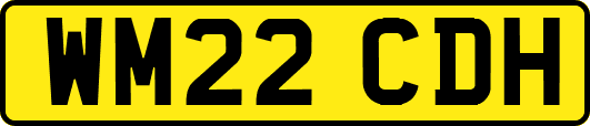 WM22CDH