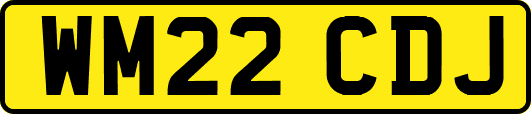 WM22CDJ
