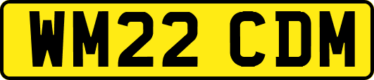 WM22CDM