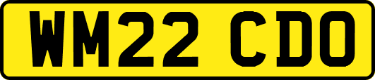 WM22CDO