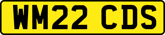WM22CDS