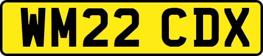 WM22CDX