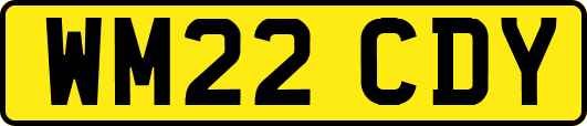 WM22CDY