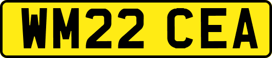 WM22CEA