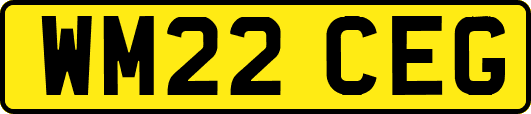 WM22CEG