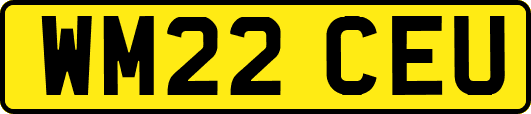 WM22CEU