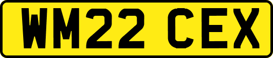 WM22CEX