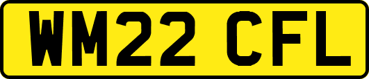 WM22CFL