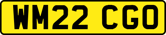 WM22CGO