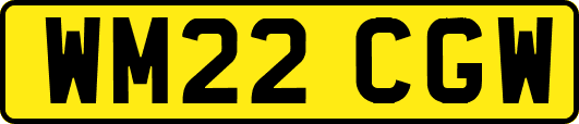 WM22CGW