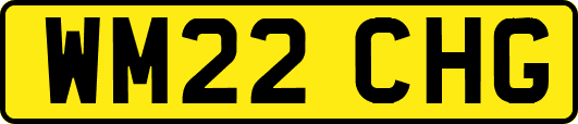WM22CHG