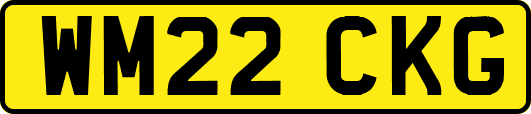 WM22CKG