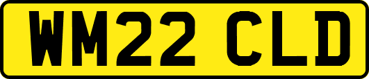 WM22CLD