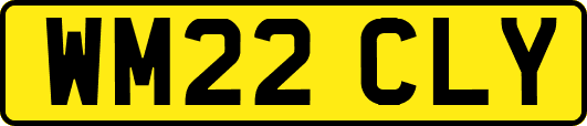 WM22CLY