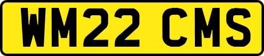 WM22CMS
