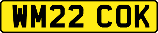 WM22COK