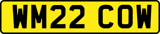 WM22COW