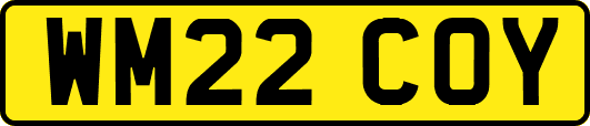 WM22COY