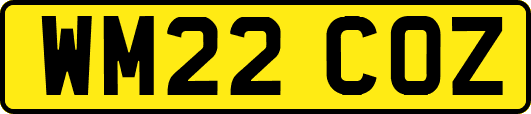 WM22COZ